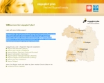 Bildschirmfoto der Freiwilligendienste Caritasverband Webseite